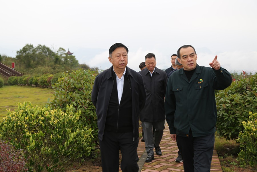 19-2021年10月，原國土資源部副部長汪民蒞臨公司調(diào)研。.jpg