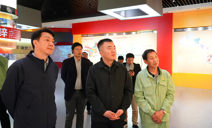 10.4-2024年04月，自然資源部礦保司副司長王博蒞臨公司調(diào)研。.jpg