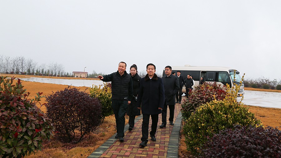45-2020年12月，省高級人民法院黨組成員、副院長任建國蒞臨金徽股份調(diào)研知識產(chǎn)權(quán)司法保護(hù)工作。.jpg